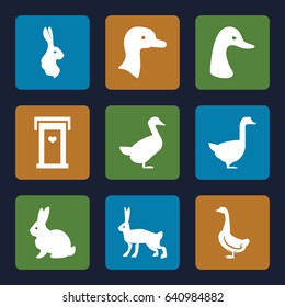 Lovely icons set. set of 9 lovely filled icons such as goose, rabbit