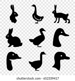 Lovely icons set. set of 9 lovely filled icons such as goose