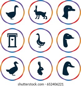 Lovely icons set. set of 9 lovely filled icons such as goose, rabbit
