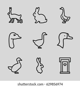 Lovely icons set. set of 9 lovely outline icons such as rabbit, goose