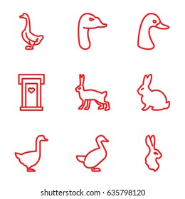 Lovely icons set. set of 9 lovely outline icons such as rabbit, goose