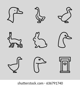 Lovely icons set. set of 9 lovely outline icons such as rabbit, goose