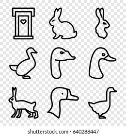 Lovely icons set. set of 9 lovely outline icons such as rabbit, goose