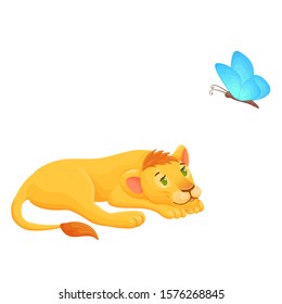 Lovely lion cub lies and looks at a butterfly