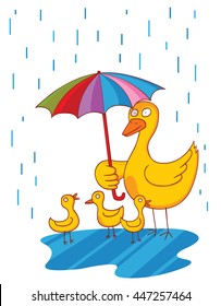 lovely mother  duck