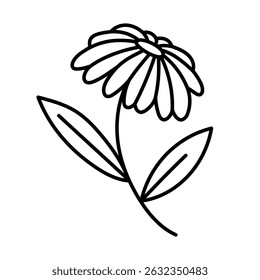 Lovely outline growing gerbera daisy with petals and leaves on stem. Romantic blooming wild meadow flower. Springtime wildflower isolated. Sketch floral doodle for Easter, Valentine design.