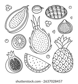 Lovely outline set with tropical exotic fruits and berries. Black and white doodle of papaya, pineapple, kiwi, mango for poster, design, social media, print. Vegetarian tropics fruit collection.