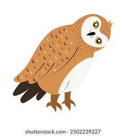 Lovely owlet, hand drawn small bird, isolated on white vector illustration