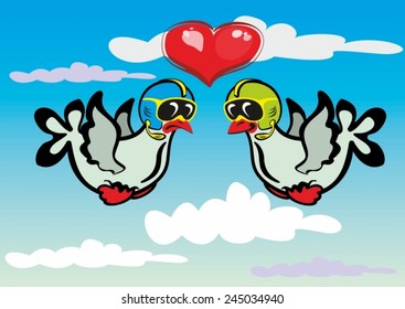 lovely pigeons 