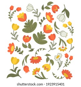 Lovely plants set isolated on white. Orange and yellow flowers with different green leaves. Hand drawn decorative stylized herbals. Grass and botanical elements.
