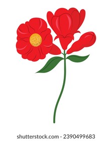 Lovely pomegranate tree flower in flat design, hand drawn isolated vector illustration