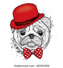 Lovely pug hat and with a tie. Funny dog. Puppy. Vector illustration for a postcard or a poster. Print on clothes.