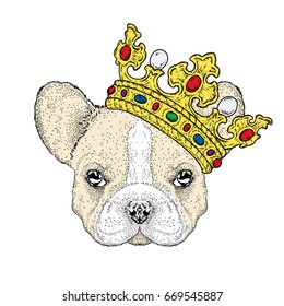 Lovely puppy in the crown. Vetch illustration for postcard or poster, print on clothes. Pedigree dog. Bulldog.
