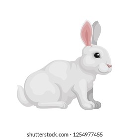 Lovely Rabbit Sitting Isolated On White Stock Vector (Royalty Free ...