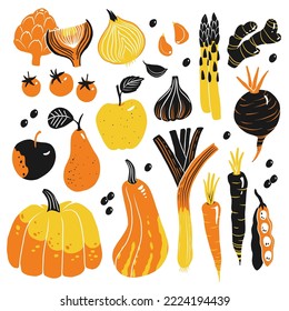 Lovely raw vegan concept illustration with sweet fruits and vegetables in vector. Tasty apple, ginger, tomato, squash, beet, carrot, pear and pumpkin in funny cartoon style