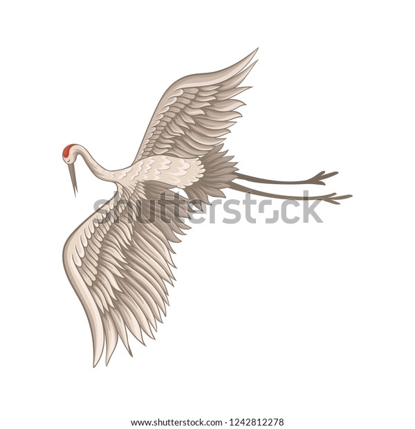 Lovely Redcrowned Crane Flying Wide Open Stock Vector (Royalty Free ...