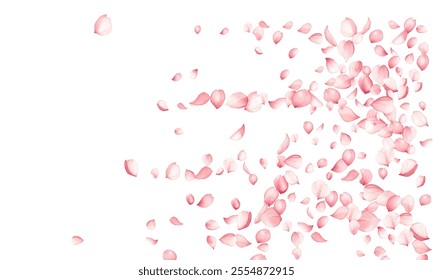 Lovely sakuta tree blossom petals scattered on white backdrop vector illustration. Birthday floral decor elements. Airy spring pink bloom petals holiday Delightful symbolic.