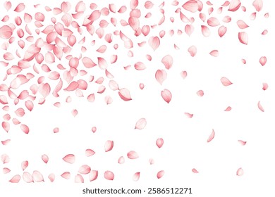 Lovely sakuta tree blossom petals scattered on white backdrop vector illustration. Birthday floral decor elements. Festive spring pink bloom petals holiday Innocent angelic charm.