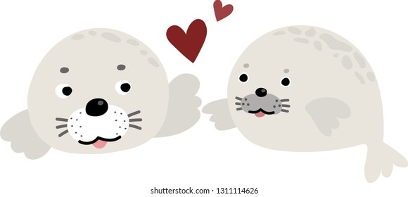 lovely seal couple 