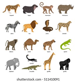 Set Sixteen Separate African Safari Animals Stock Photo 2026005647 ...