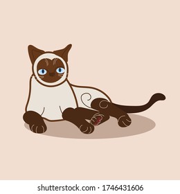 Lovely Siamese Cat Illustration (Vector)