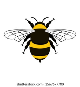 Lovely simple design of a yellow and black bee on a white background