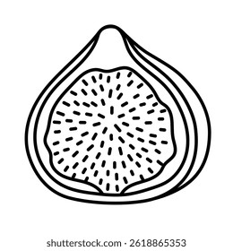 Lovely sketch ripe fig fruit cut in half with peel, seeds. Childish hand drawn exotic piece of fruit isolated on white background. Trendy outline doodle for food design, packaging, restaurant menu.