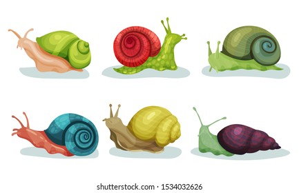 Lovely Snails Crawling In Different Directions Vector Illustrations