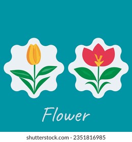 Lovely spring flowers and leaves