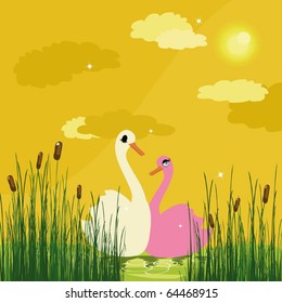 Lovely swans on a glade