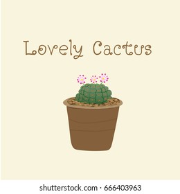 lovely three cactus