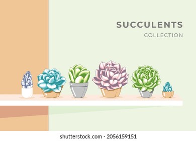fondo de ilustración pequeño y suculento