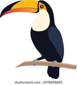 Lovely toucans isolated on white background. Vector beautiful character toucans in cartoon style. Illustration is in flat style