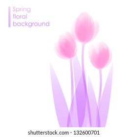 Lovely tulips / spring flower background