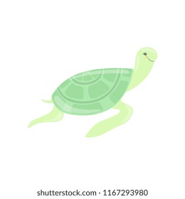 Lovely turtle, cute sea creature character vector Illustration on a white background