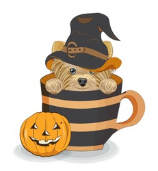 Lovely Vector Halloween Puppy, Dog In Witch Hat, In Cup Near Pumpkin. Picture In Hand Drawing Cartoon Style, For T-shirt Wear Fashion Print Design, Greeting Card, Postcard. Party Invitation.