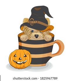 Lovely vector Halloween puppy, dog in witch hat, in cup near pumpkin. Picture in hand drawing cartoon style, for t-shirt wear fashion print design, greeting card, postcard. party invitation.