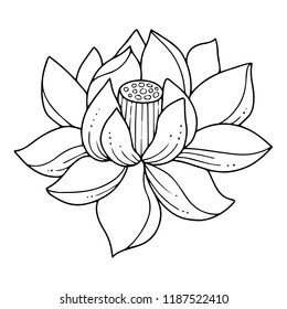 Lovely Vector Outline Illustration Lotus Water Stock Vector (Royalty ...