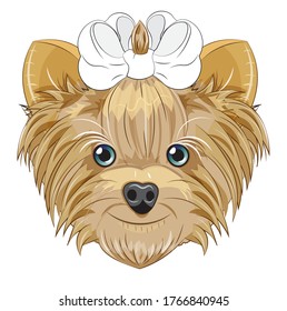 Lovely vector puppy, dog with a bow. Picture in hand drawing cartoon style, for t-shirt wear fashion print design, greeting card, postcard. party invitation.
