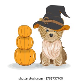 Lovely vector puppy, dog in Halloween hat and pumpkins. Picture in hand drawing cartoon style, for t-shirt wear fashion print design, holidaygreeting card, postcard. party invitation.