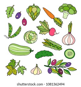 Lovely vector set with different vegetable illustration. Hand drawn. Collection farm product for restaurant menu, market label. 