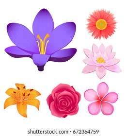 Lovely violet crocus, peach dahlia, Chinese lotus, sacura blossom, lush rose bud and yellow lily isolated vector illustrations set.