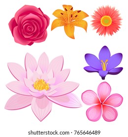 Lovely violet crocus, peach dahlia, Chinese lotus, sacura blossom, lush rose bud and yellow lily isolated vector illustrations set.