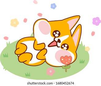 Lovely Welsh Corgi
Enjoying spring dog

Cherry Blossom