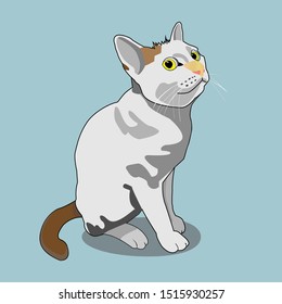 Lovely White Cat Vector Design