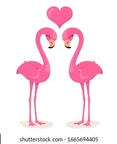 Lovers of flamingos with a heart. Vector illustration in cartoon flat style. White background.