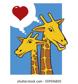 Lovers giraffes