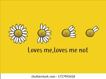 loves me loves me not daisy flower daisy amour design lettering vector purple background  with heart  spring stationary fashion style,packet
