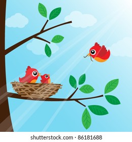 Loving bird feeding in the morning