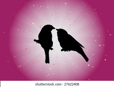 Loving birds